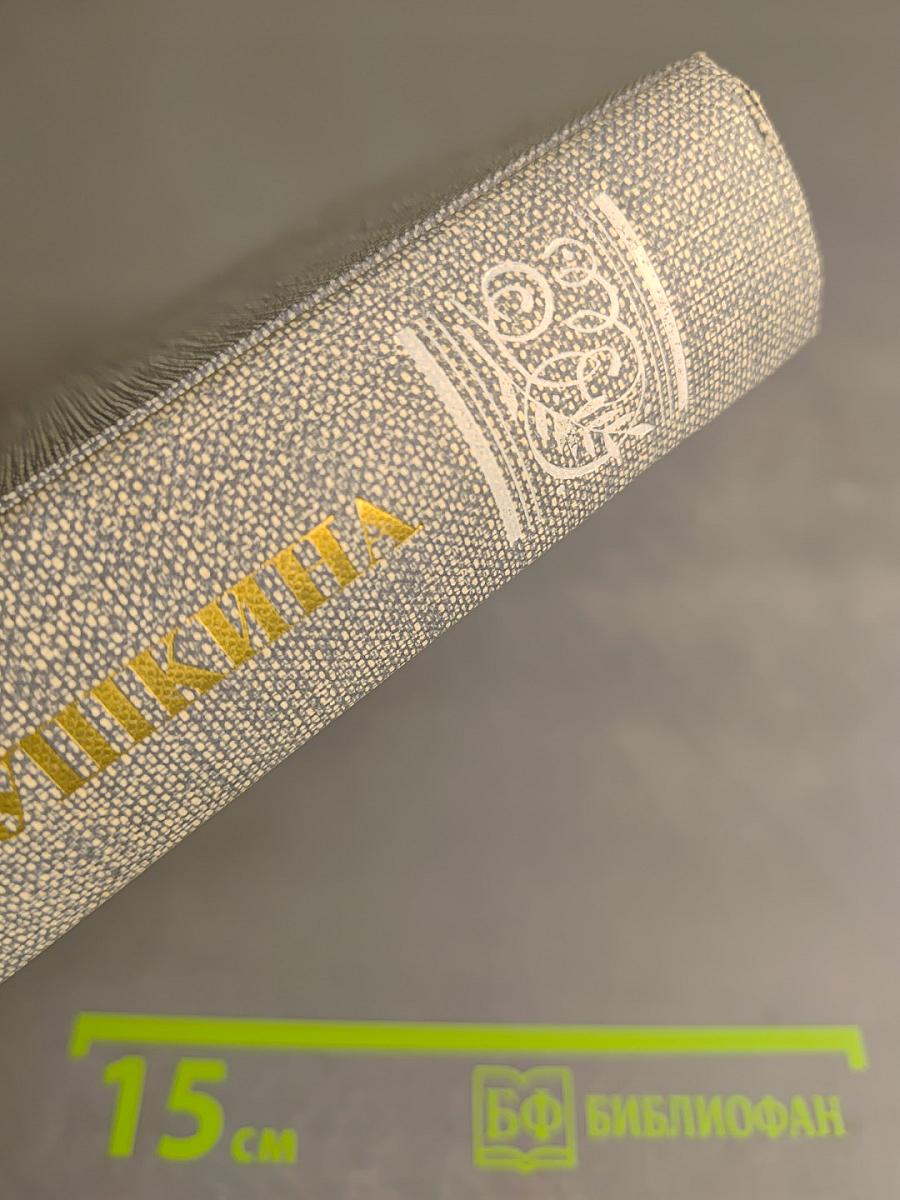 Друзья Пушкина. Переписка. Воспоминания. Дневники. Том 2