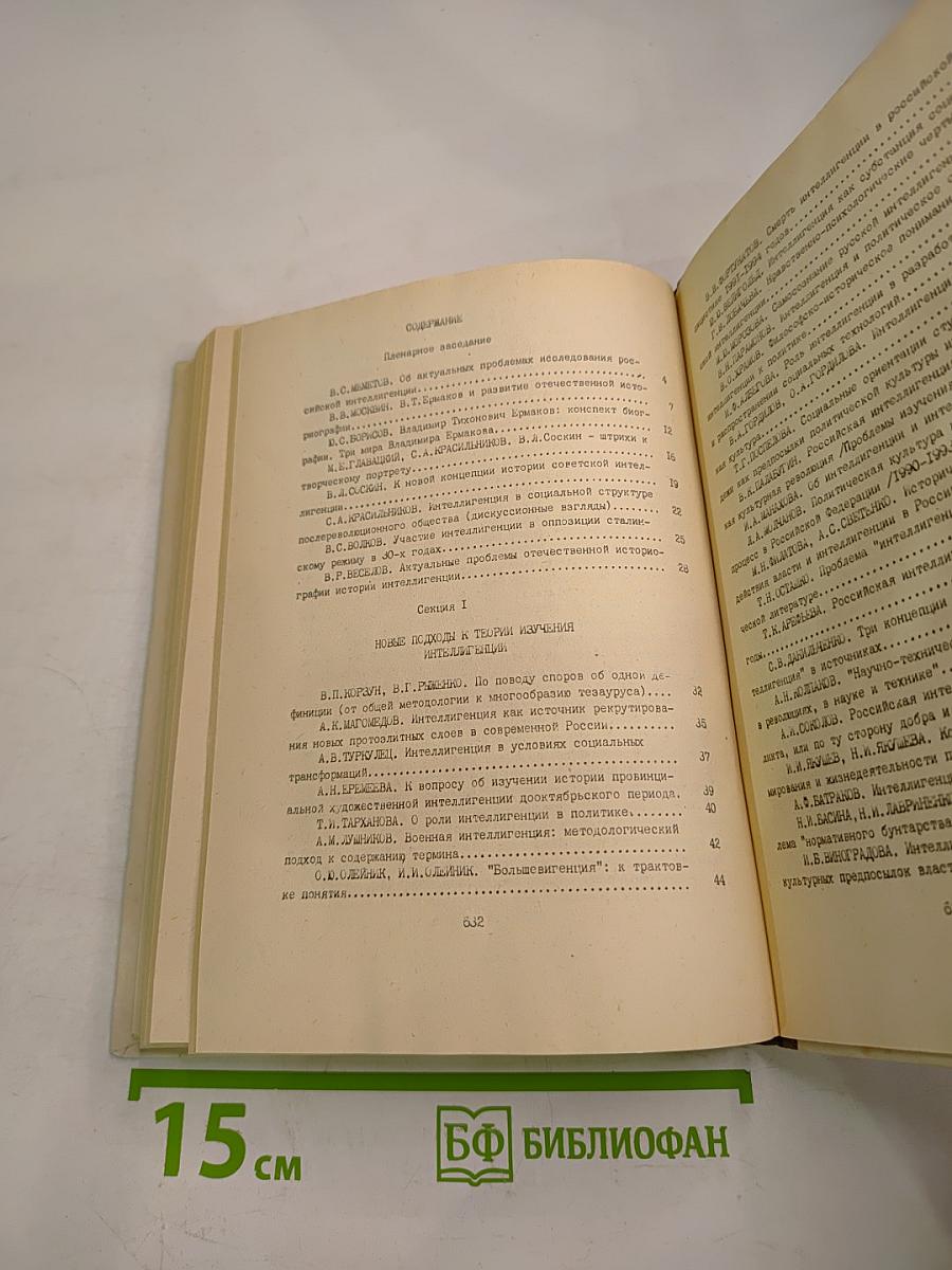 Российская интеллигенция в отечественной и зарубежной историографии Том II