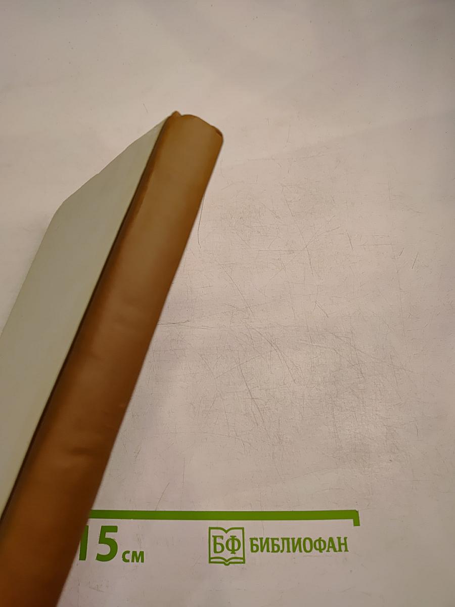 Российская интеллигенция в отечественной и зарубежной историографии Том II