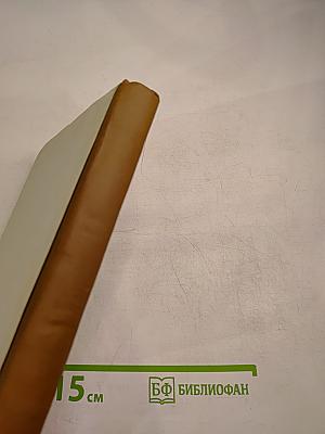 Российская интеллигенция в отечественной и зарубежной историографии Том II