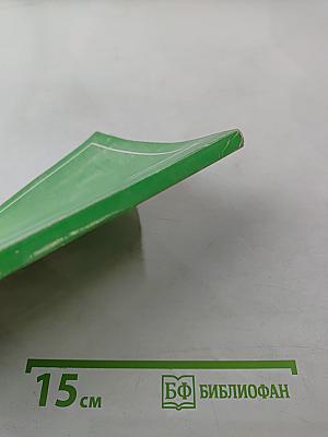 Системокванты физиологических процессов