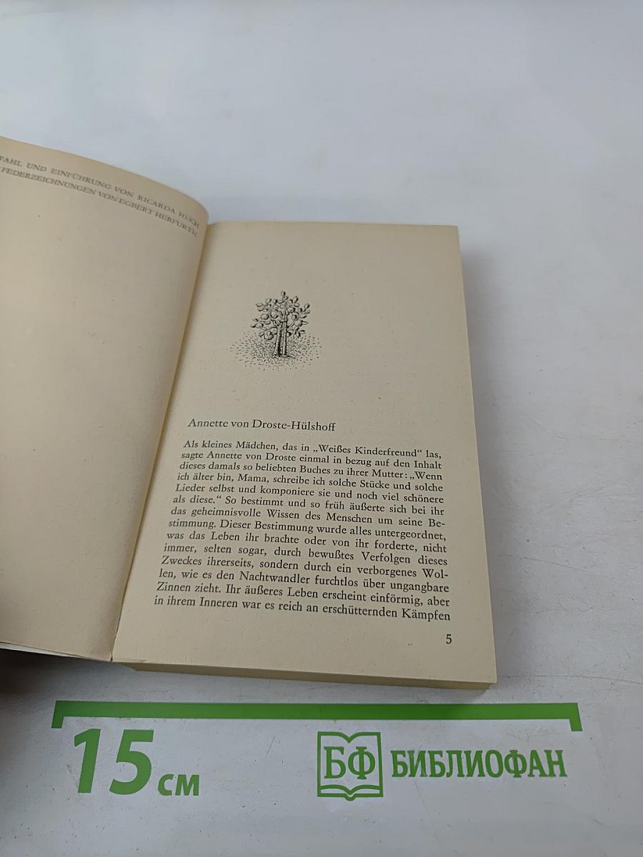 Du Luft und ich und der uralte Stein