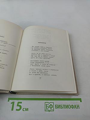 Избранные произведения в двух томах. Том второй: Стихотворения, поэмы, литературные эскизы