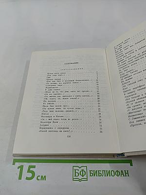 Избранные произведения в двух томах. Том второй: Стихотворения, поэмы, литературные эскизы