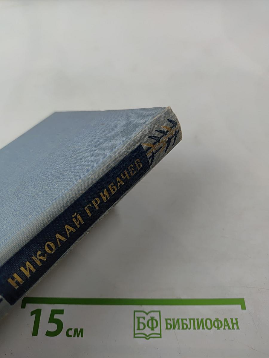 Стихотворения и поэмы. Том первый. Стихотворения