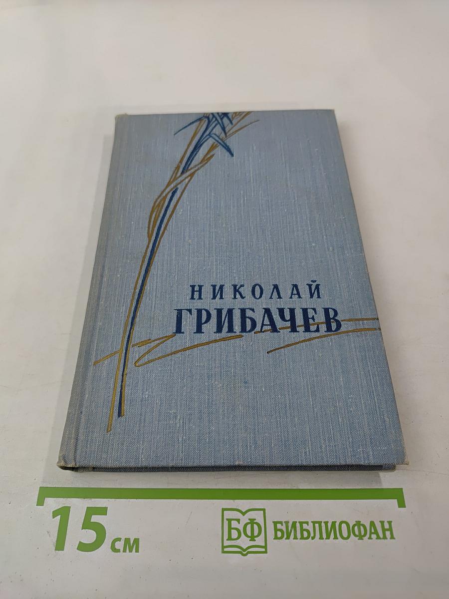 Стихотворения и поэмы. Том второй. Поэмы