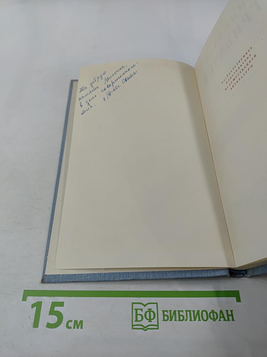 Стихотворения и поэмы. Том второй. Поэмы