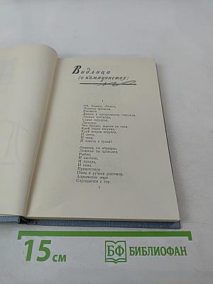 Стихотворения и поэмы. Том второй. Поэмы