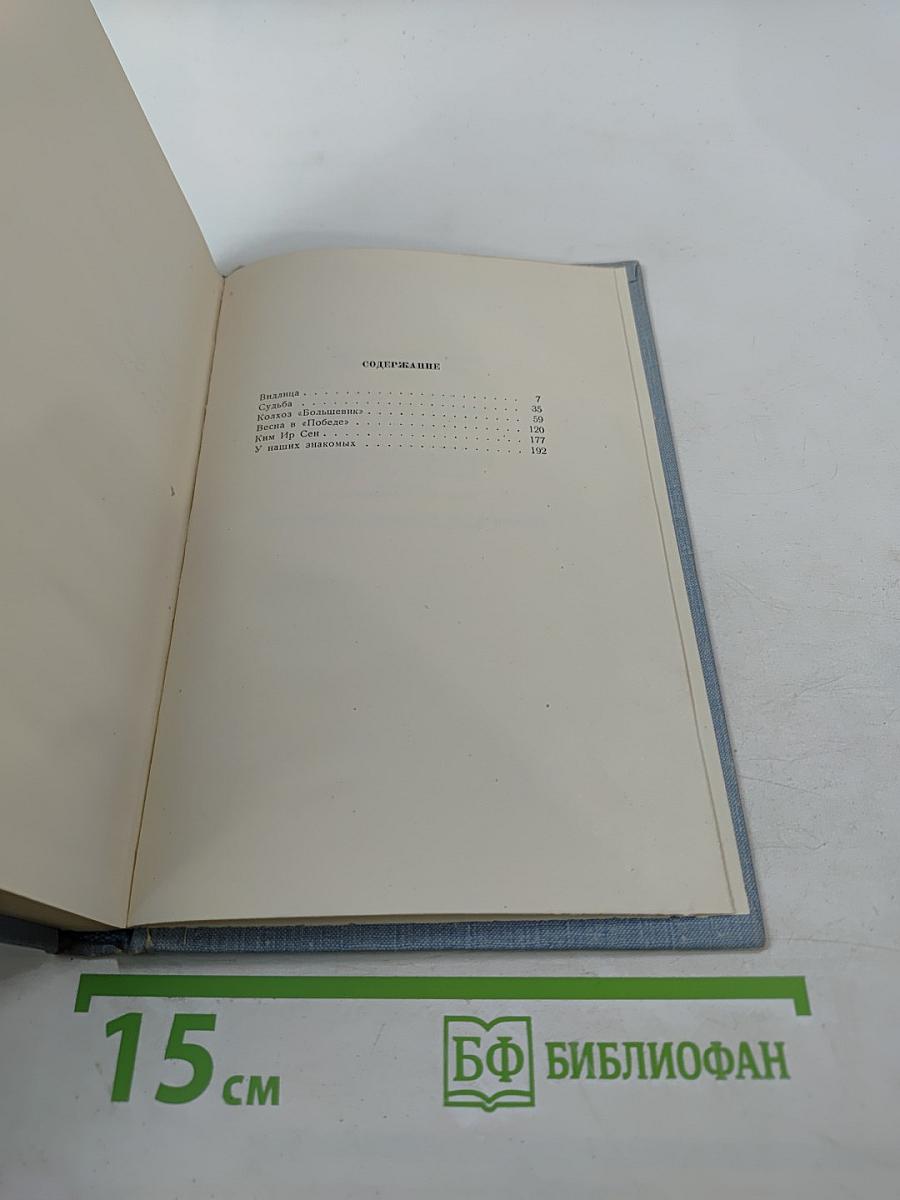 Стихотворения и поэмы. Том второй. Поэмы