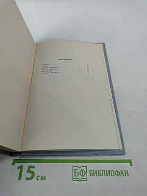 Стихотворения и поэмы. Том второй. Поэмы