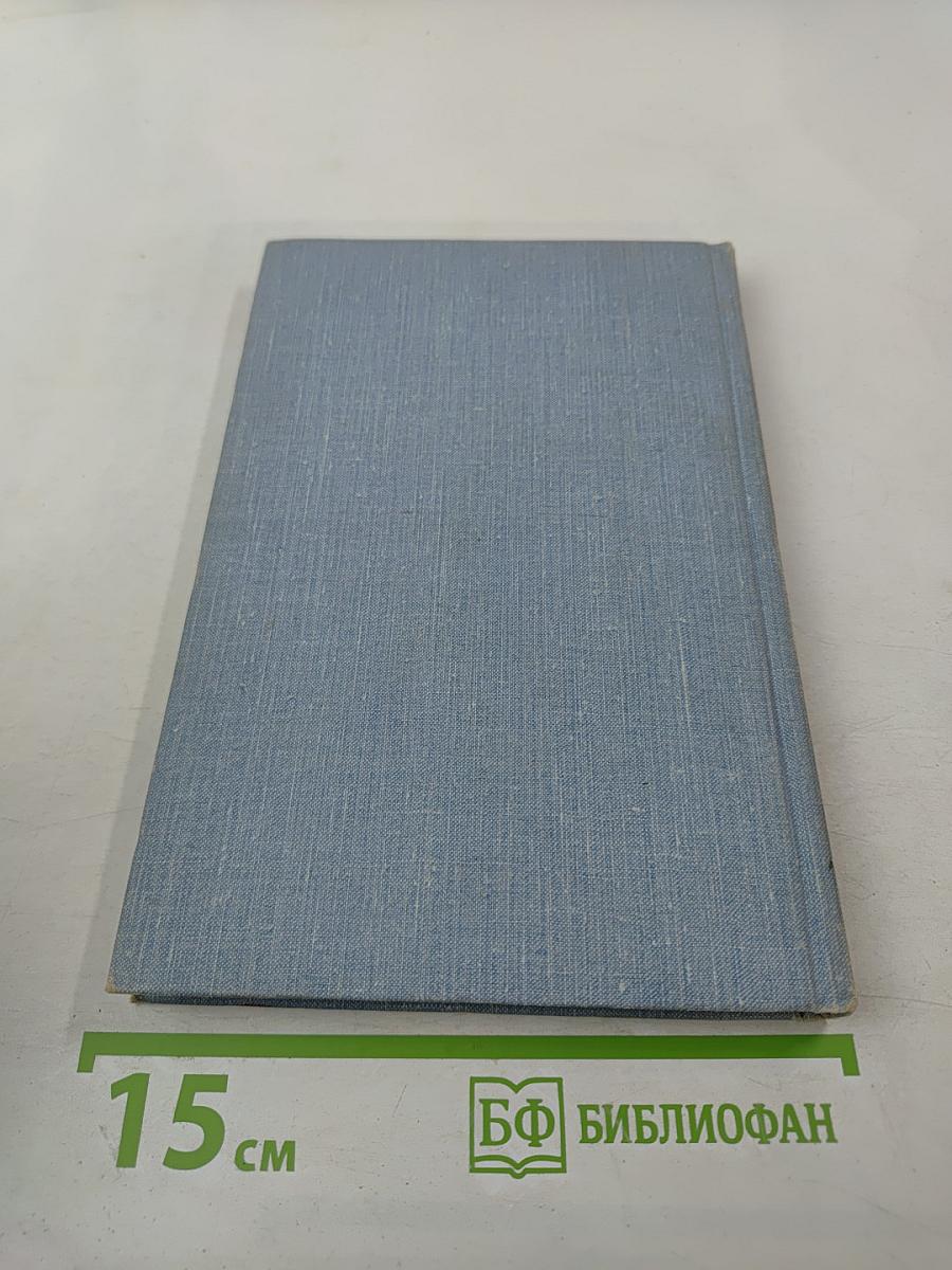 Стихотворения и поэмы. Том второй. Поэмы