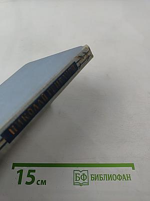 Стихотворения и поэмы. Том второй. Поэмы