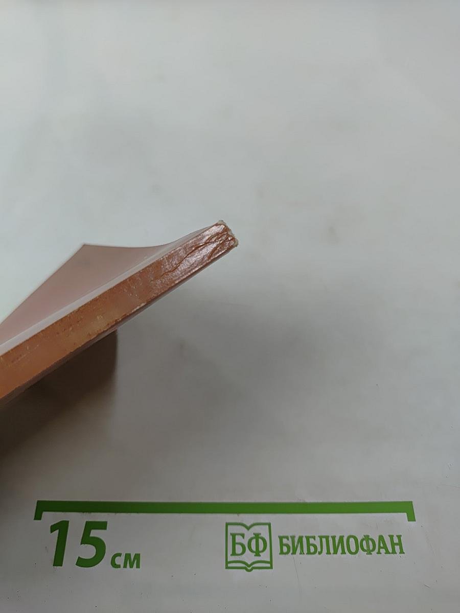 Н. А. Троцкий