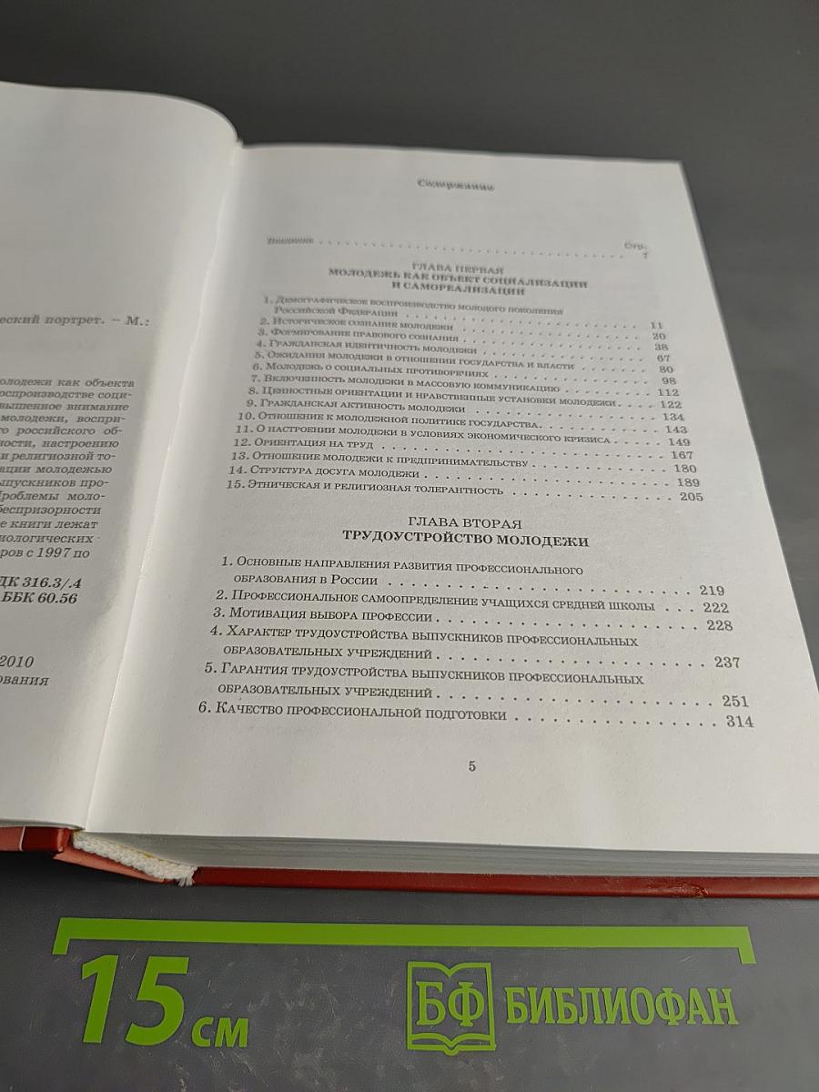 Молодежь России: Социологический портрет