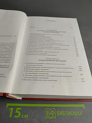 Молодежь России: Социологический портрет