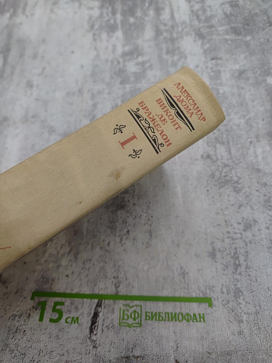 Виконт де Бражелон, или Десять лет спустя. Части 1, 2 (Том I)