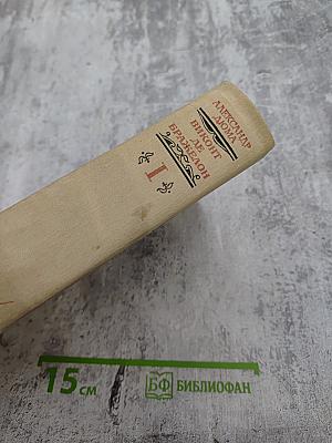 Виконт де Бражелон, или Десять лет спустя. Части 1, 2 (Том I)