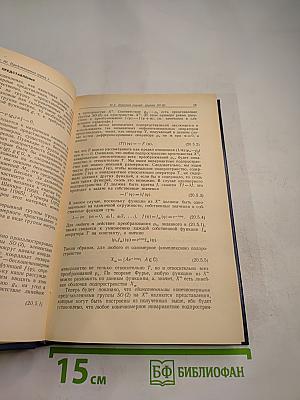 Принципы современной математической физики. Том 2