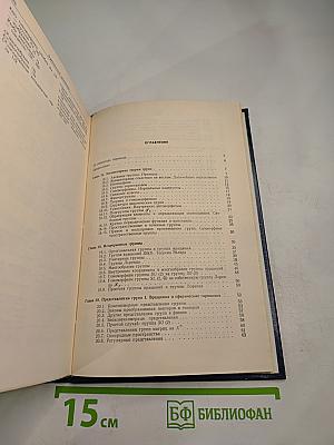 Принципы современной математической физики. Том 2