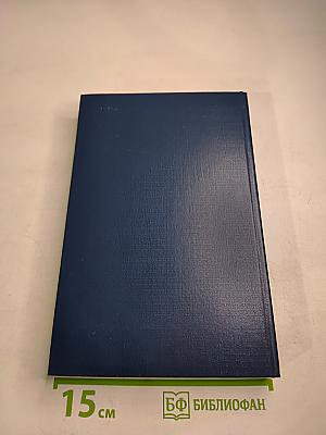 Принципы современной математической физики. Том 2