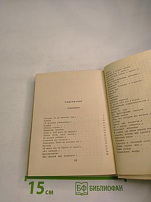 Стихотворения и поэмы, Том второй