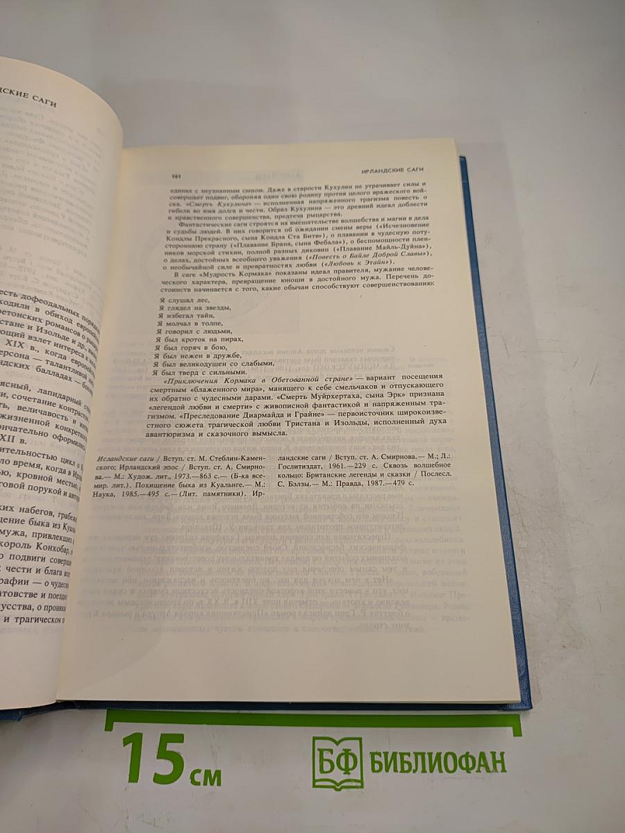 Панорама веков. Зарубежная художественная проза от возникновения до XX в.