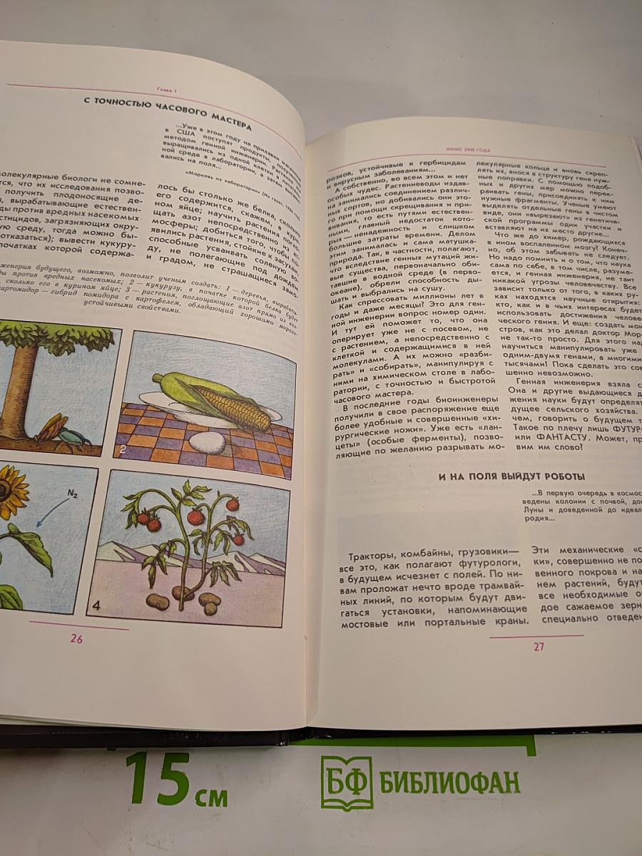 Сумма жизни