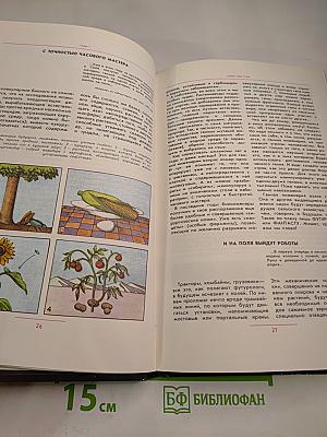 Сумма жизни