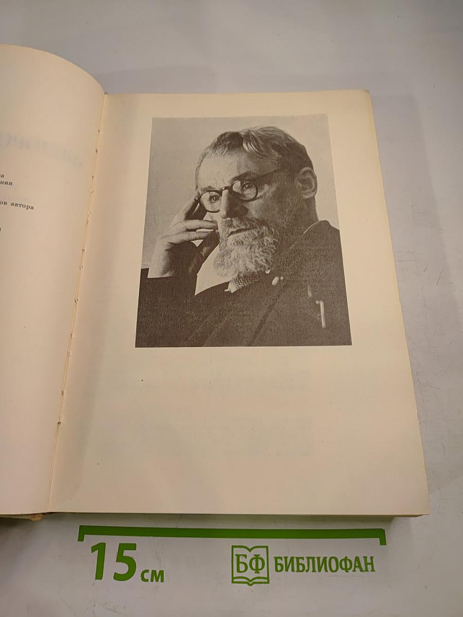Русский пейзаж XVIII - начала XX века. История, проблемы, художники