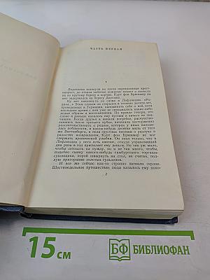 Собрание сочинений. Том шестой. На грани веков. Книга первая и вторая