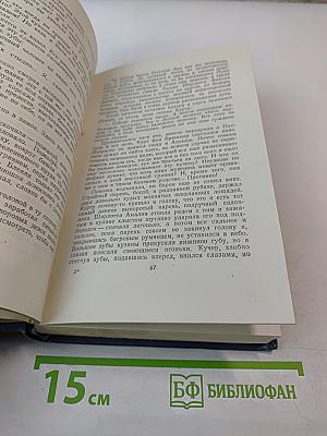 Собрание сочинений. Том шестой. На грани веков. Книга первая и вторая