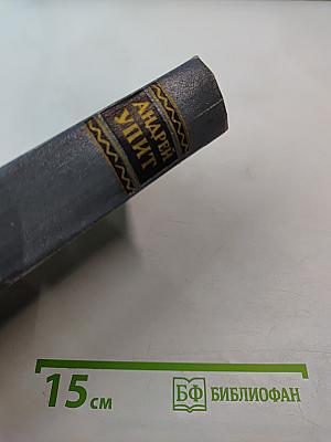 Собрание сочинений. Том шестой. На грани веков. Книга первая и вторая