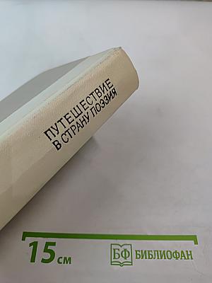 Путешествие в страну поэзия. Поэзия - школе. Книга 2