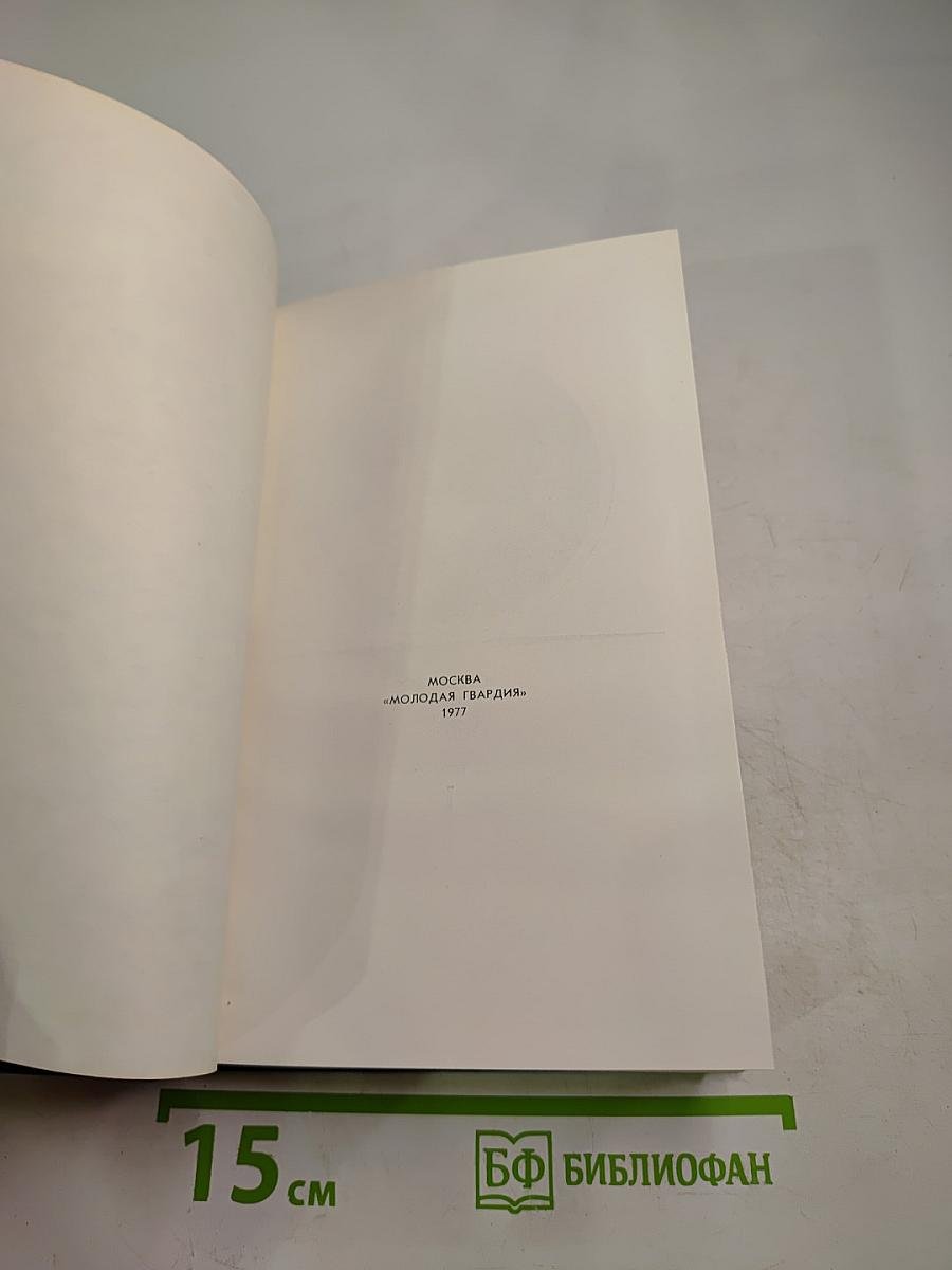 Тридцать лет и три года. Том 1