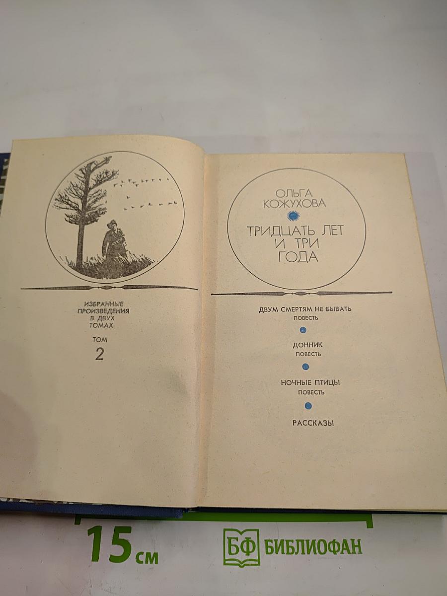 Тридцать лет и три года. Избранные произведения в двух томах. Том 2