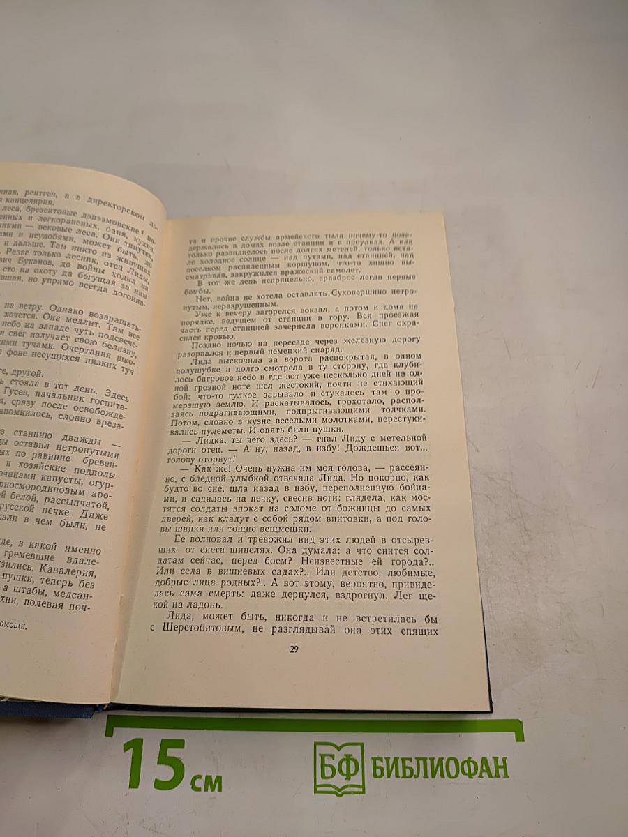 Тридцать лет и три года. Избранные произведения в двух томах. Том 2