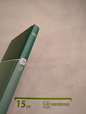 Большая медицинская энциклопедия. Том 29. Применение лекарственных растений