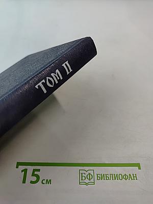 Три века. Россия от Смуты до нашего времени. Исторический сборник. Том II. XVII век Вторая половина
