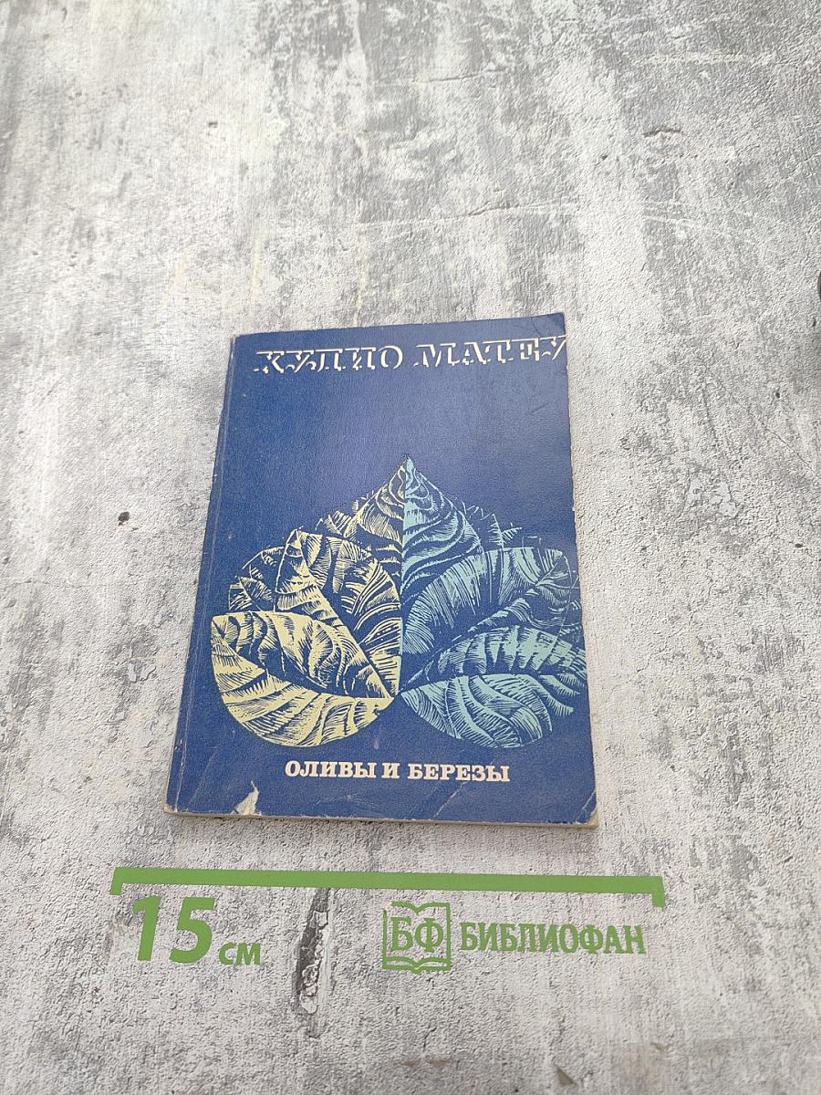 Оливы и березы