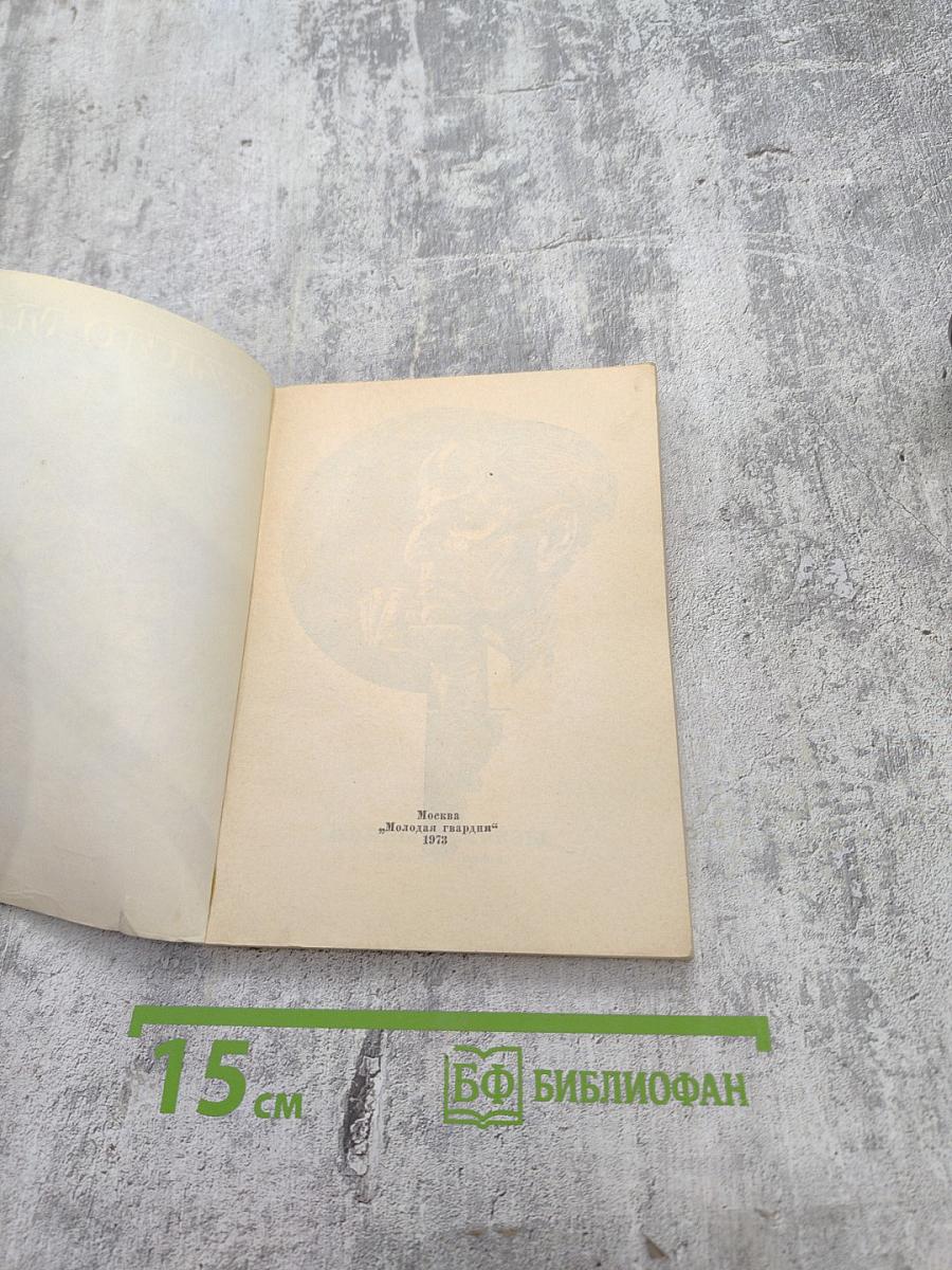 Оливы и березы