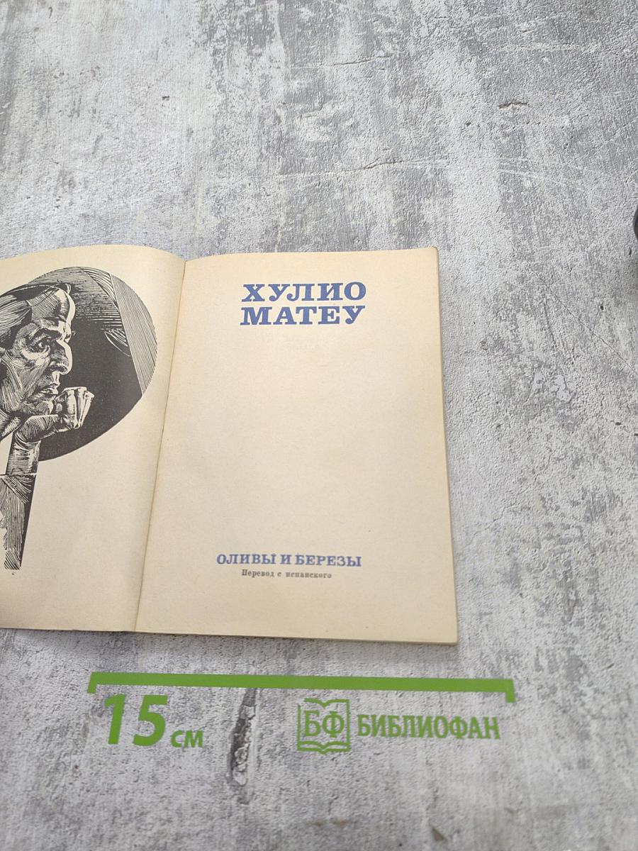 Оливы и березы