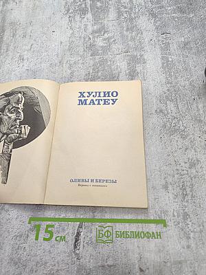 Оливы и березы