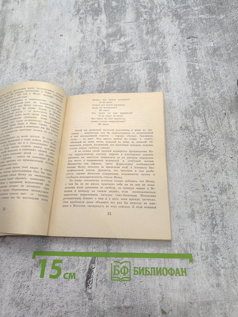 Оливы и березы