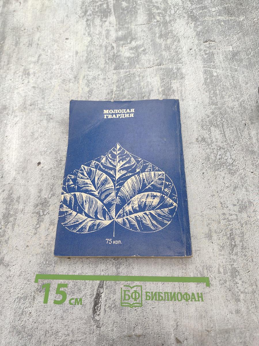 Оливы и березы