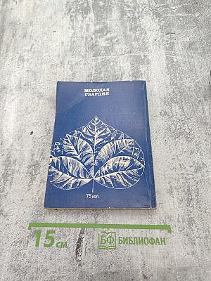 Оливы и березы