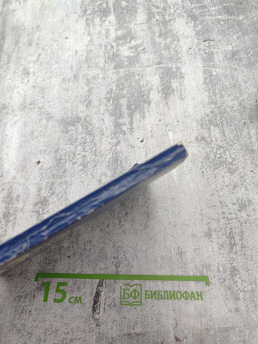 Оливы и березы