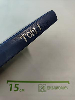 Три века. Россия от Смуты до нашего времени. Том I