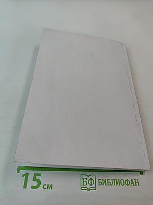 Дневники и Фантазии. Пьесы. Книга II