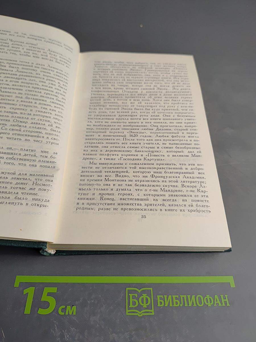 Стендаль. Собрание сочинений в 12 томах. Том 6. Итальянские хроники