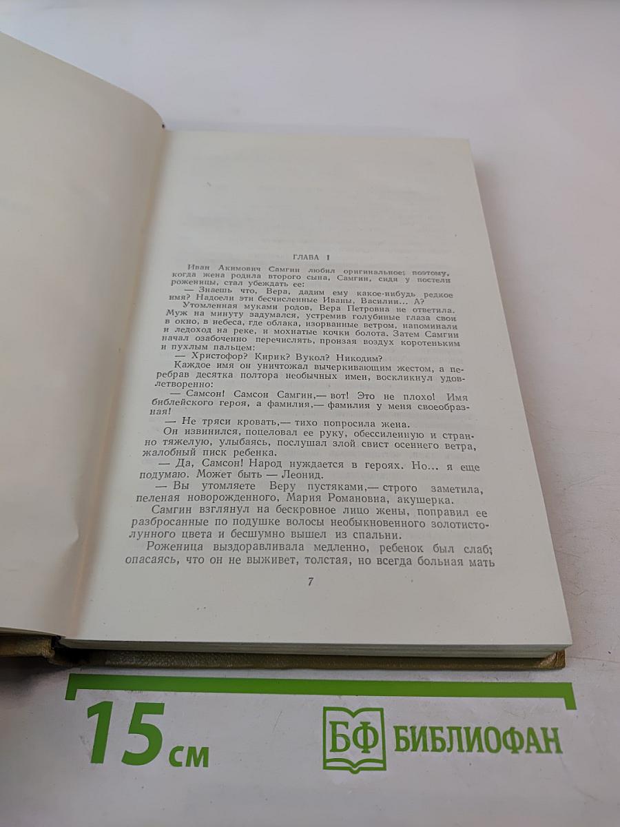 Жизнь Клима Самгина. Том 12